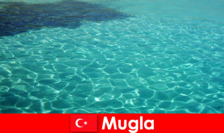 Tyrkiet ferie billige all inclusive i Mugla oplevelse