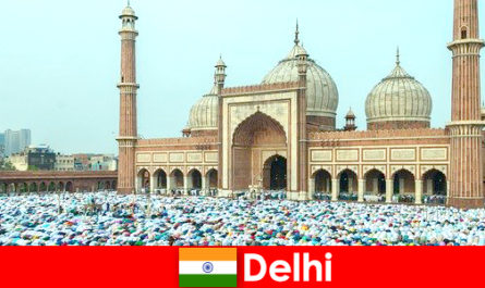 Delhi en metropol i det nordlige Indien karakteriseret ved verdensberømte muslimske bygninger