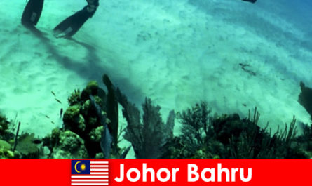 Eventyraktiviteter i Johor Bahru Dykning, klatring, vandreture og meget mere