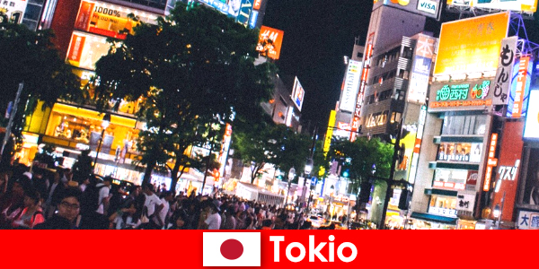 Tokyo det perfekte natteliv for feriegæster i den flimrende neonlysby