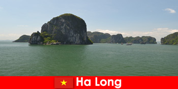 Bådture for feriegæster til rockgiganterne i Ha Long Vietnam