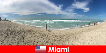 Spændende, hip og unik føler unge rejsende i det varme Miami USA