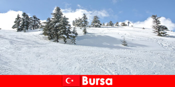 Vintertur for familier i det største skisportssted Bursa Turkey