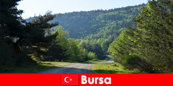Bursa Tyrkiet tilbyder organiserede udflugter for vandreture turister i den smukke natur