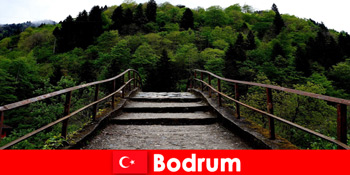 Milde temperaturer er det bedste tidspunkt at vandre for feriegæster i Bodrum Tyrkiet