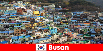 Tur til udlandet til Busan Sydkorea med madkultur på hvert hjørne for få penge