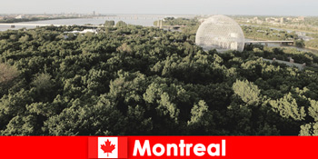 Backpackere udforsker den vilde natur i Montreal Canada til fods