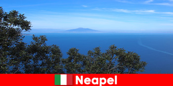 Fremmede elsker livsglæden og gæstfriheden i Napoli Italien