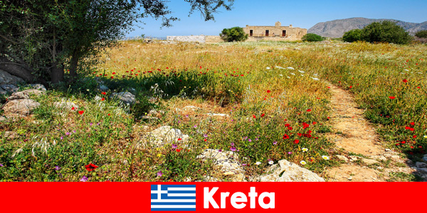 Sund middelhavsmad med naturoplevelse venter feriegæster på Kreta Grækenland