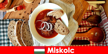 Gæsterne kan nyde lokaliteter og kultur i Miskolc Ungarn
