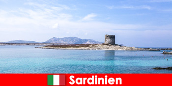 Kulinarisk tur til Sardinien for at opdage det italienske køkken