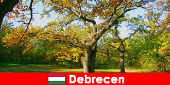 Spaferie for pensionister i Debrecen Ungarn med masser af hjerte