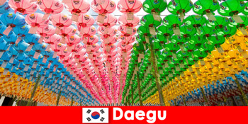 Destination med familie til Daegu Sydkorea Oplev mangfoldighed